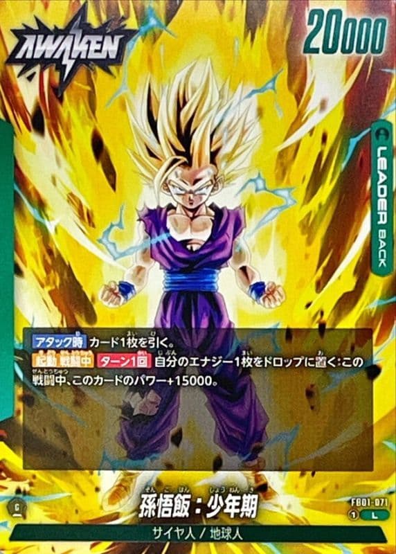 Son Gohan : Childhood