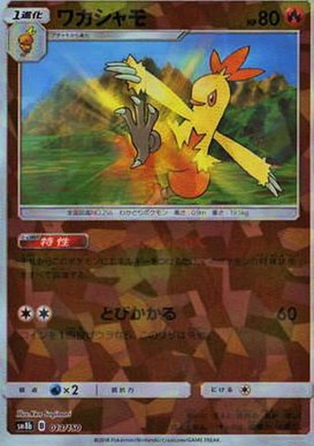 ワカシャモ(/ハイクラスパック仕様)