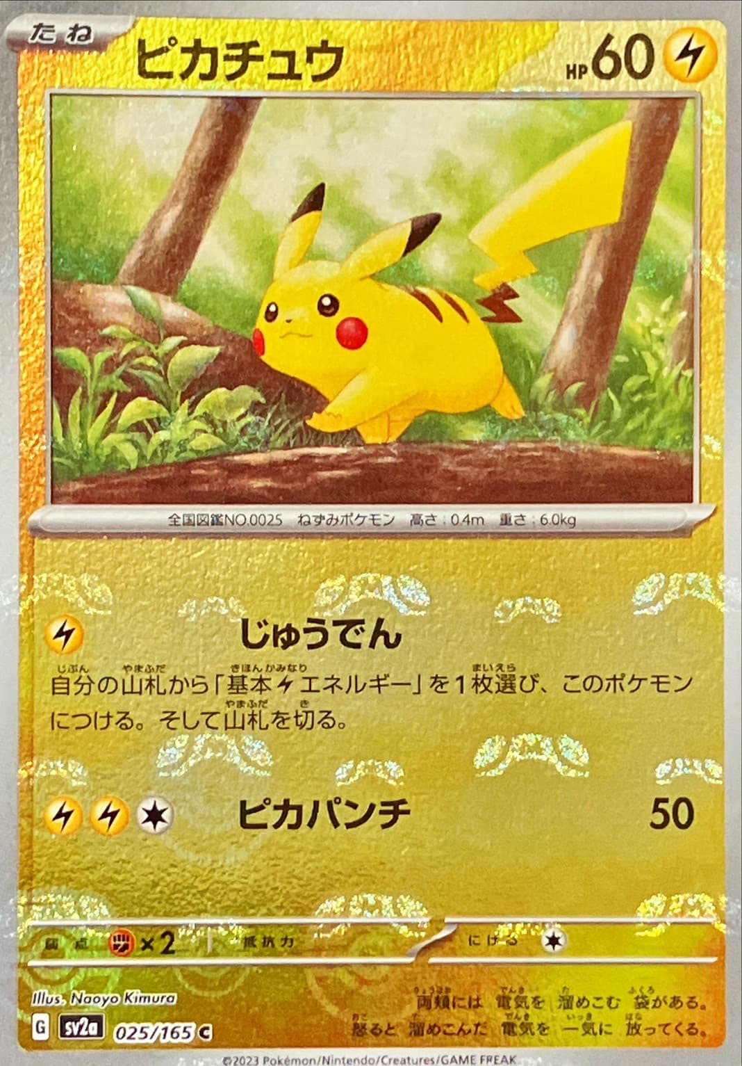 ピカチュウ(マスターボール)