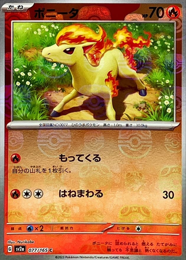 ポニータ(マスターボール)