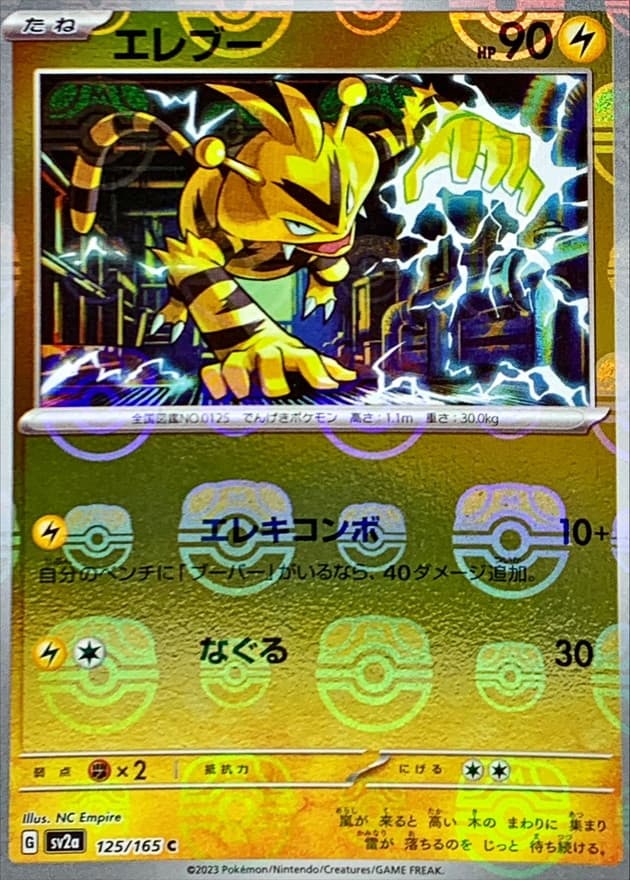 エレブー(マスターボール)