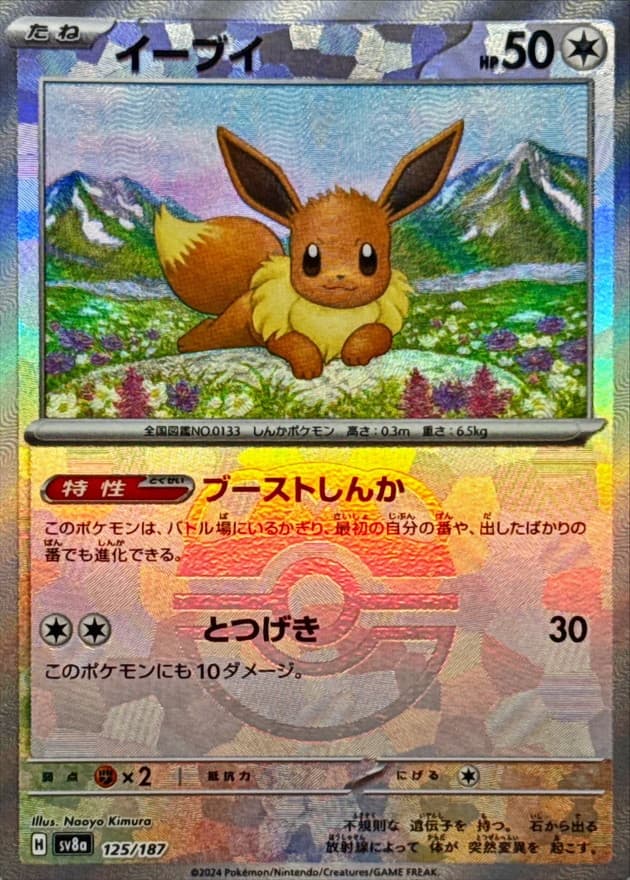 イーブイ(マスターボール)