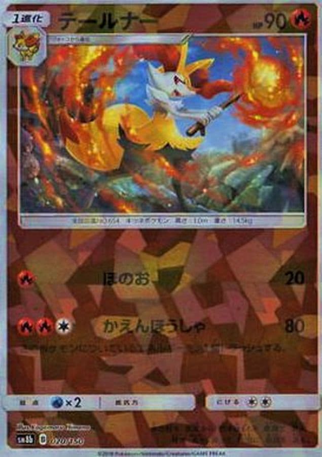 テールナー(/ハイクラスパック仕様)